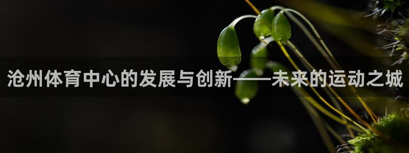 意昂体育4招商电话是多少啊