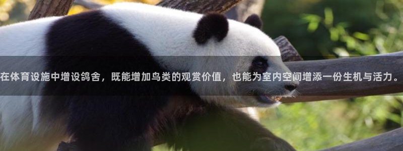 意昂4五金厂：在体育设施中增设鸽舍，既能增加鸟类的观