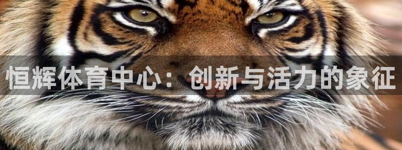 意昂体育4招商电话地址查询