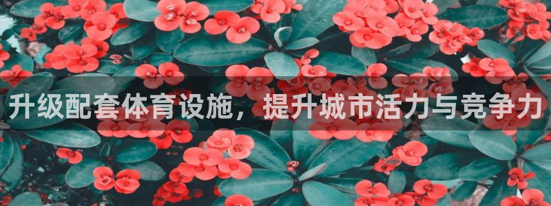 意昂体育4招商电话是多少啊