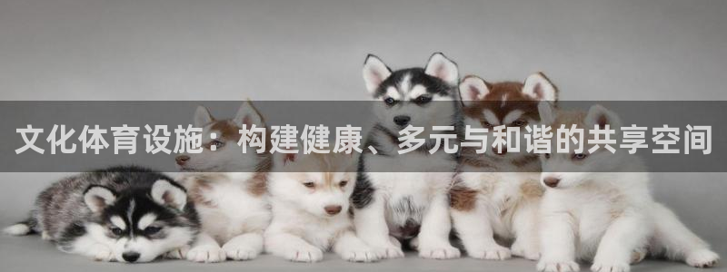 意昂体育4平台是正规平台吗知乎：文化体育设施：构建健