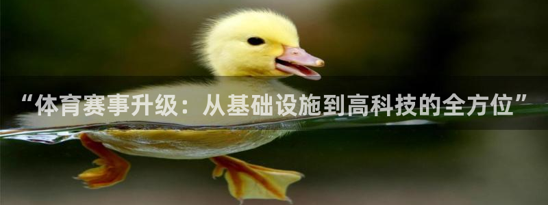 意昂体育4娱乐：“体育赛事升级：从基础设施到高科技的