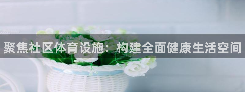 意昂体育4平台是正规平台吗：聚焦社区体育设施：构建全