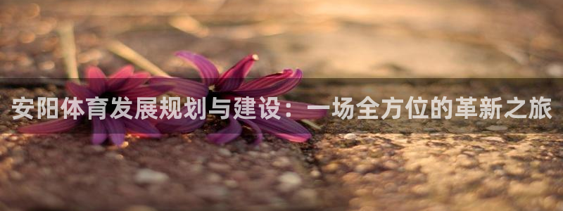 意昂体育4注册：安阳体育发展规划与建设：一场全方位的