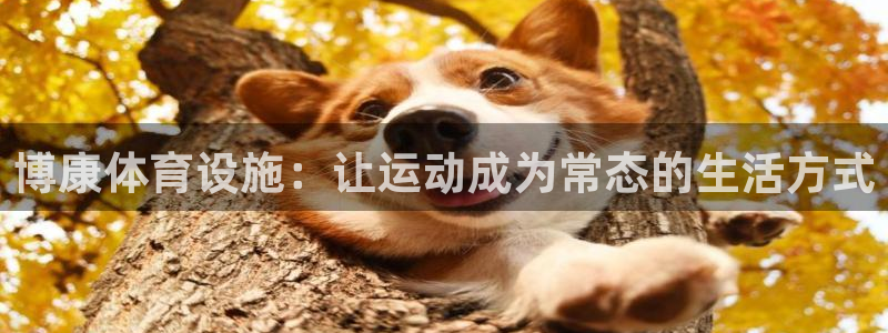 意昂4官网：博康体育设施：让运动成为常态的生活方式