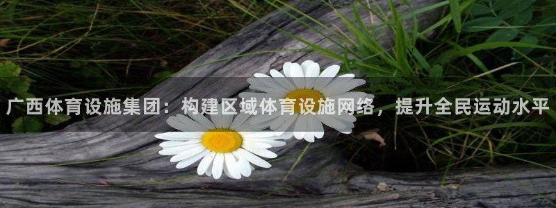 意昂体育4开户：广西体育设施集团：构建区域体育设施网