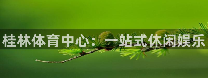 意昂平台体育：桂林体育中心：一站式休闲娱乐