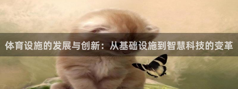 意昂体育4招商电话是多少号码：体育设施的发展与创新：