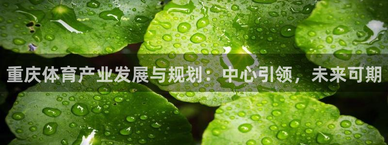 意昂体育4招商：重庆体育产业发展与规划：中心引领，未