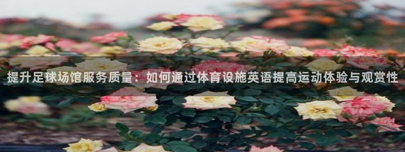 意昂体育4平台注册流程视频：提升足球场馆服务质量：如