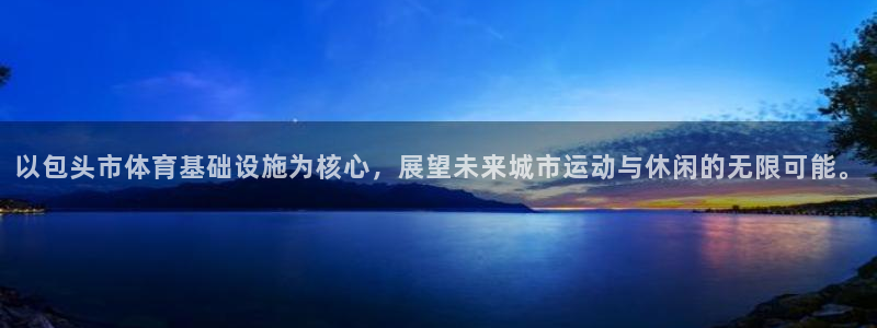 意昂4新能源