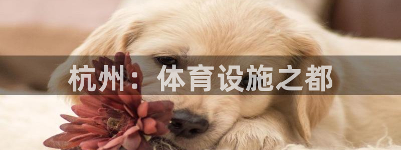 意昂体育4官方客服电话