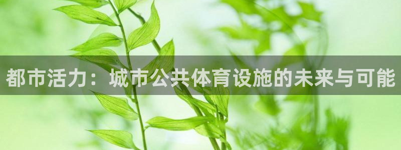 意昂体育4软件：都市活力：城市公共体育设施的未来与可能