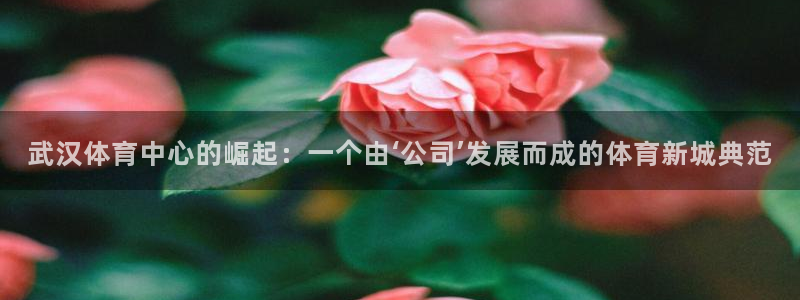 意昂体育4平台注册要钱吗是真的吗：武汉体育中心的崛起：一个由