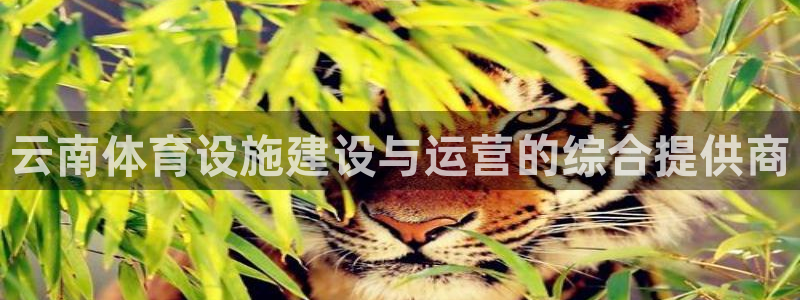 海南意昂体育4：云南体育设施建设与运营的综合提供商