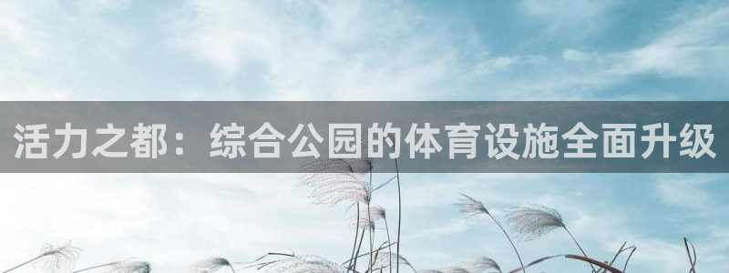 意昂4集团E.ON：活力之都：综合公园的体育设施全面升级