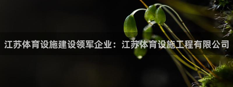 意昂体育4平台注册要钱吗：江苏体育设施建设领军企业：