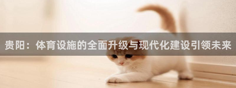 意昂体育4招商电话是多少啊：贵阳：体育设施的全面升级