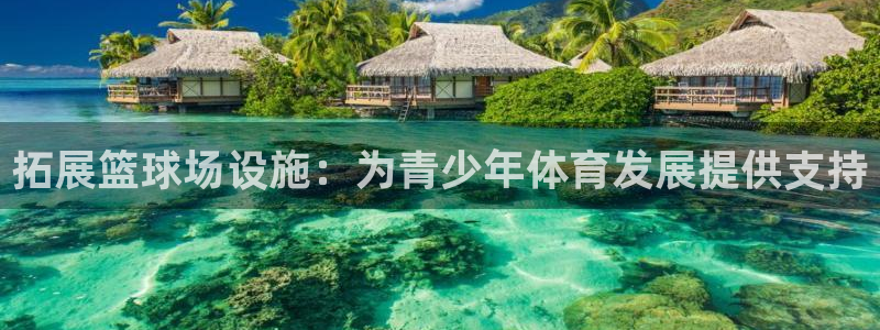 注册意昂4：拓展篮球场设施：为青少年体育发展提供支持