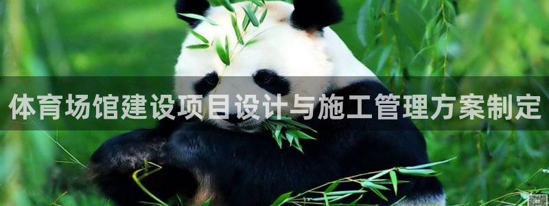 意昂4集团E.ON：体育场馆建设项目设计与施工管理方
