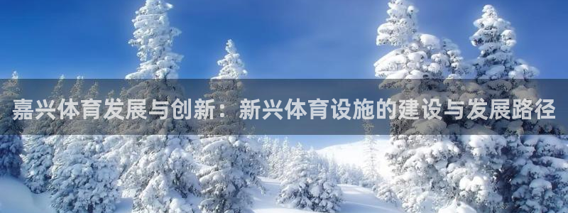 意昂4娱乐平台：嘉兴体育发展与创新：新兴体育设施的建设与发展