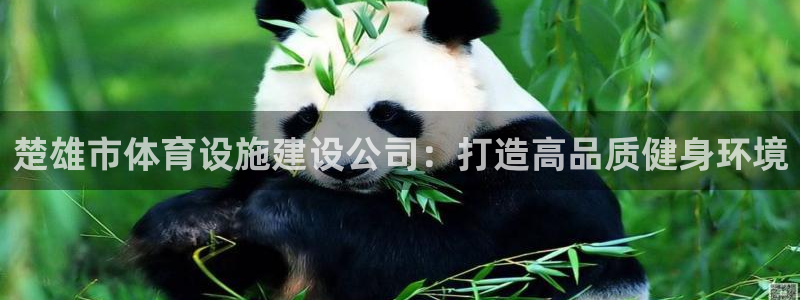 意昂体育4注册：楚雄市体育设施建设公司：打造高品质健