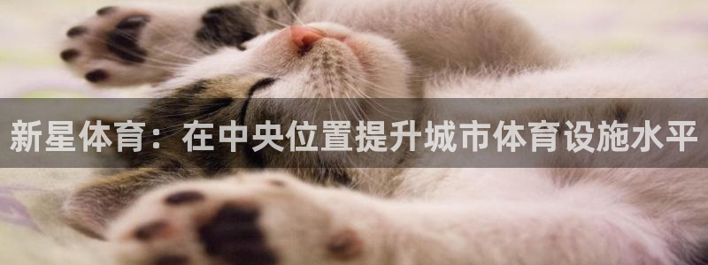 意昂体育4平台：新星体育：在中央位置提升城市体育设施