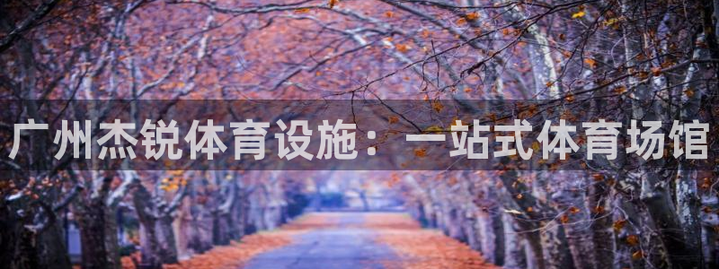 意昂4集团logo：广州杰锐体育设施：一站式体育场馆