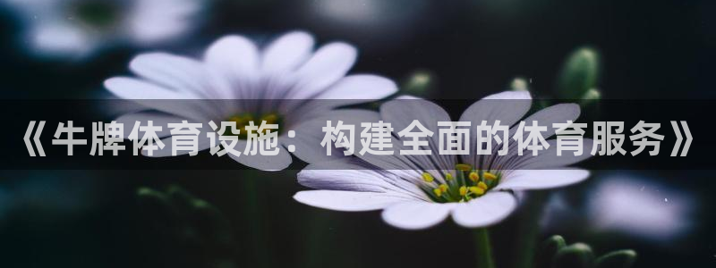 意昂4官方