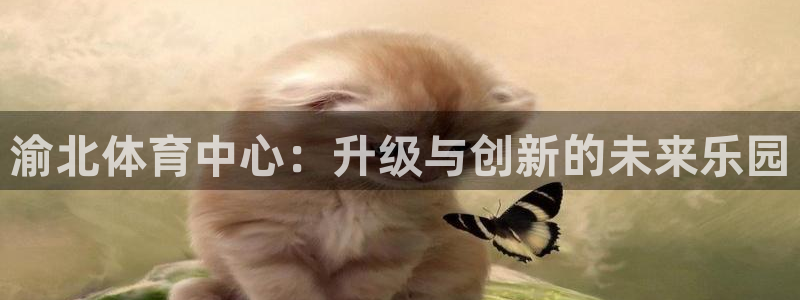 意昂4集团简介：渝北体育中心：升级与创新的未来乐园