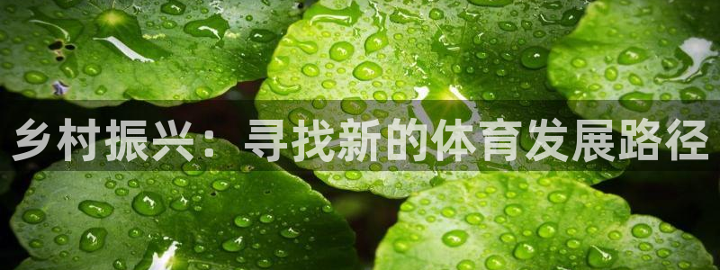 意昂体育4