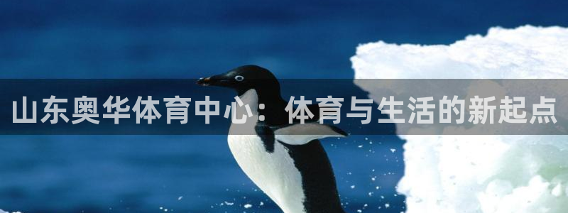 意昂体育4联系电话：山东奥华体育中心：体育与生活的新起点