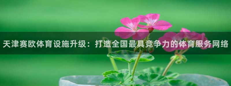 意昂4集团E.ON：天津赛欧体育设施升级：打造全国最