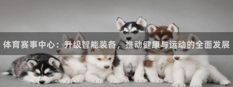 意昂体育4注册：体育赛事中心：升级智能装备，推动健康