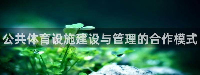 意昂4新能源：公共体育设施建设与管理的合作模式