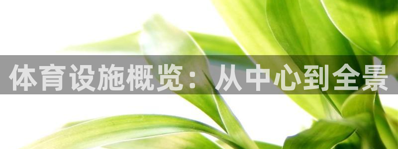 意昂4新能源：体育设施概览：从中心到全景