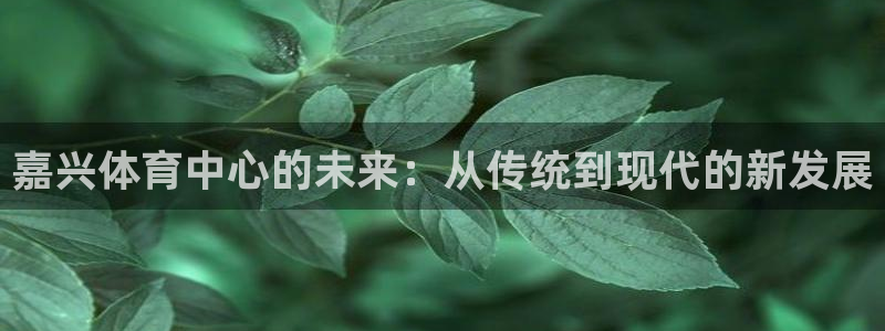 意昂体育4官方客服电话：嘉兴体育中心的未来：从传统到