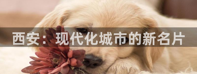 意昂4官方：西安：现代化城市的新名片