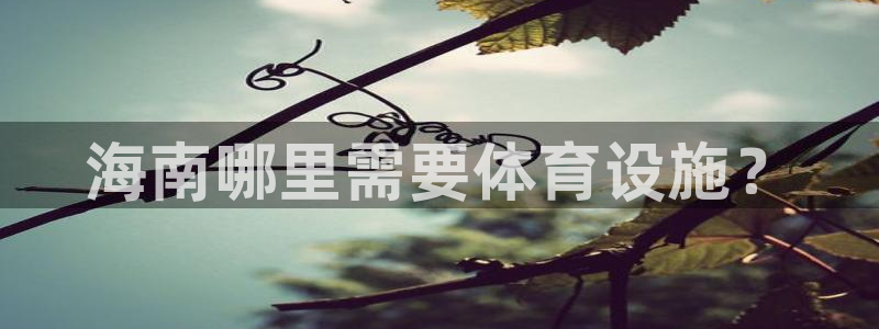 意昂4集团E.ON：海南哪里需要体育设施？