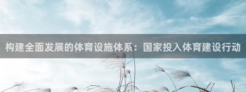 德国意昂4集团：构建全面发展的体育设施体系：国家投入