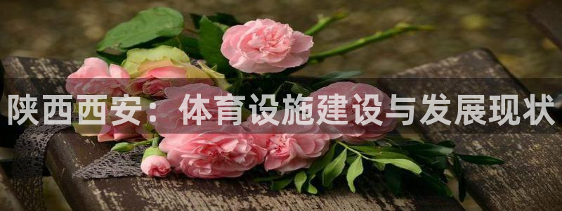 意昂体育4平台注册：陕西西安：体育设施建设与发展现状