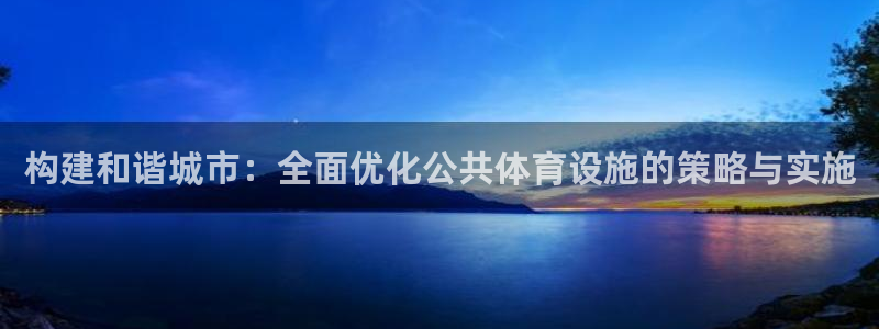 意昂体育4是干嘛的公司：构建和谐城市：全面优化公共体
