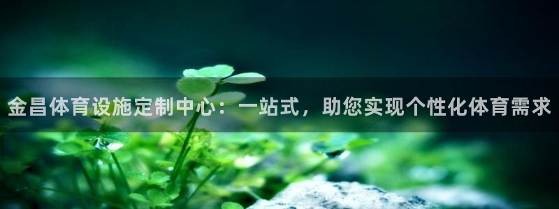 意昂4娱乐代理怎么样：金昌体育设施定制中心：一站式，