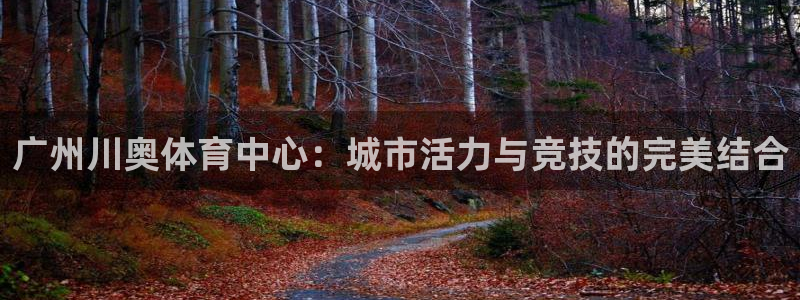 意昂体育4平台是正规平台吗安全吗：广州川奥体育中心：