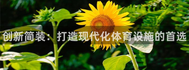 意昂体育4平台APP：创新简装：打造现代化体育设施的