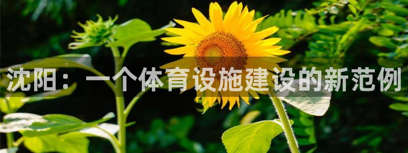 意昂4集团官网网址：沈阳：一个体育设施建设的新范例