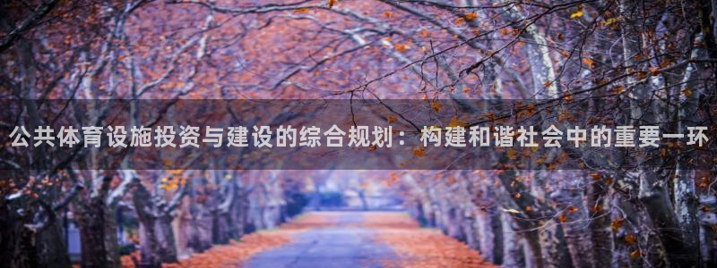 意昂体育4联系电话：公共体育设施投资与建设的综合规划：构建和