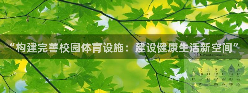 海南意昂体育4发展怎么样：“构建完善校园体育设施：建设健康生