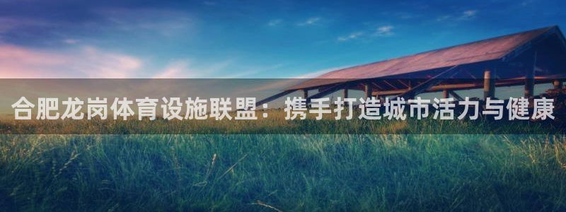 意昂体育4软件：合肥龙岗体育设施联盟：携手打造城市活