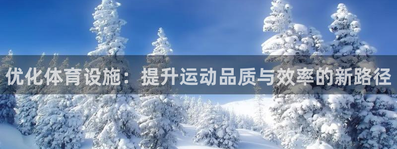 意昂4集团简介：优化体育设施：提升运动品质与效率的新